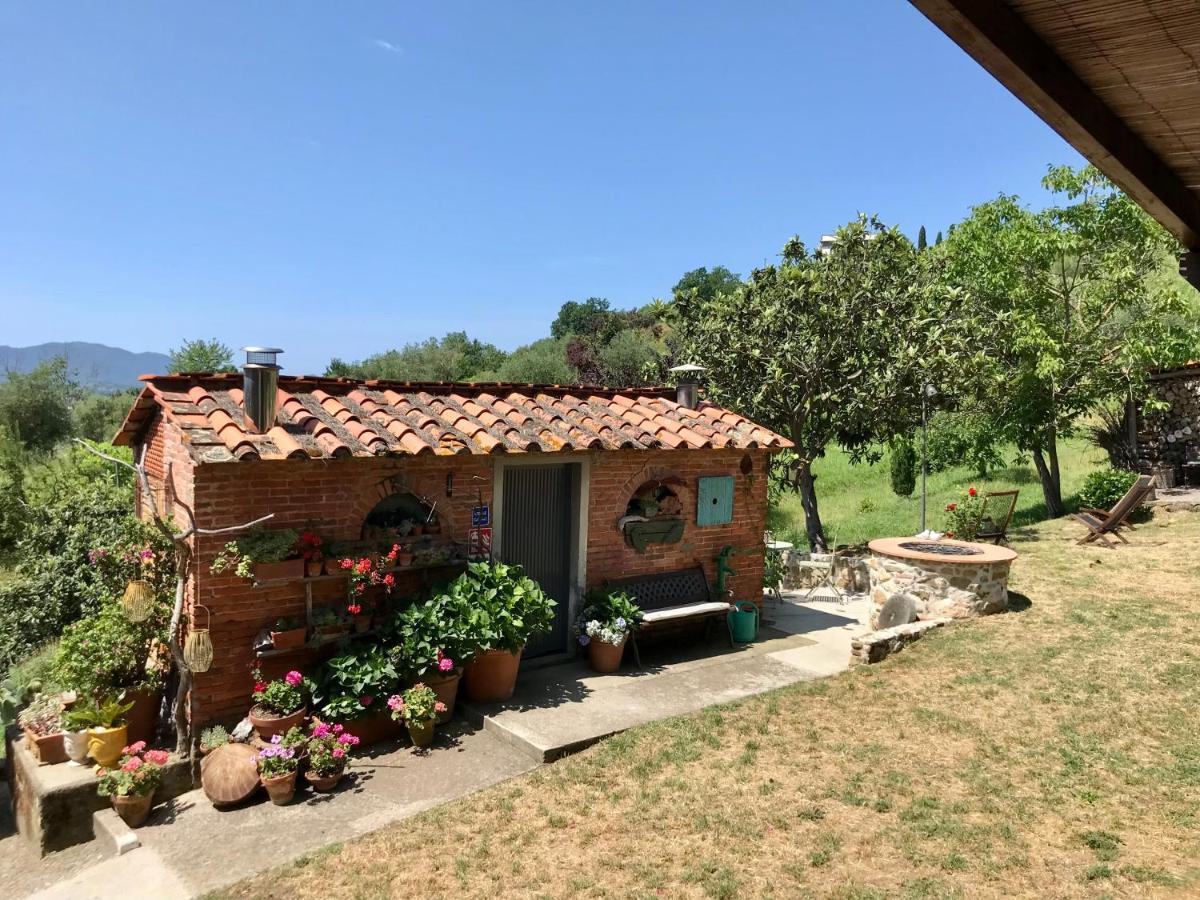 Bed&Breakfast La Madonnina Bed and Breakfast Marlia Esterno foto